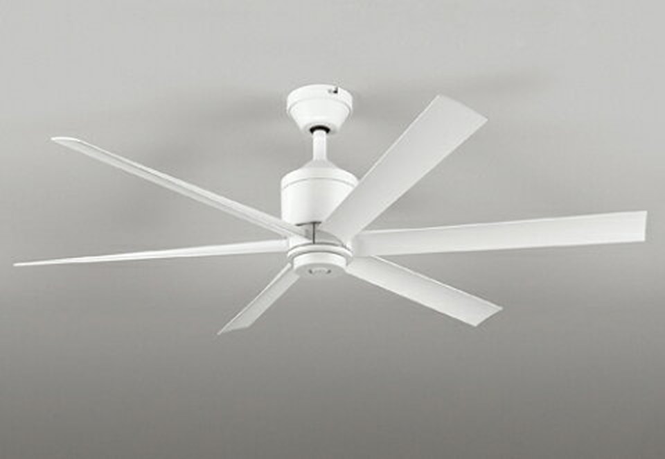 オーデリック【WF239】のサムネイル