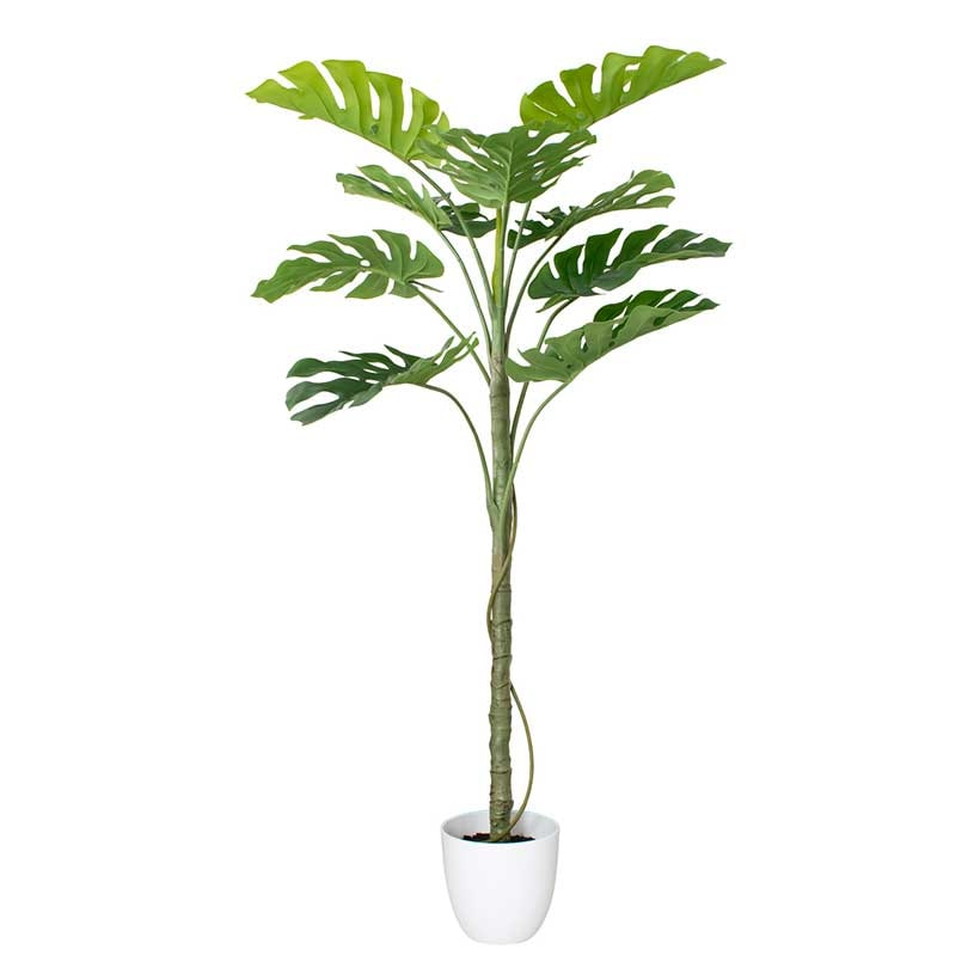 キシマ[KH-61392]組立式　アーティフィシャルグリーン　モンステラ