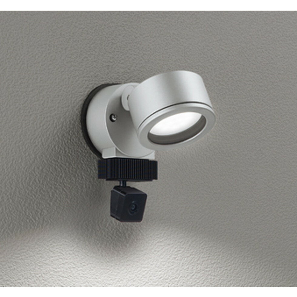 オーデリック[OG264202NCR]エクステリア　エクステリア　スポットライト　エクステリア