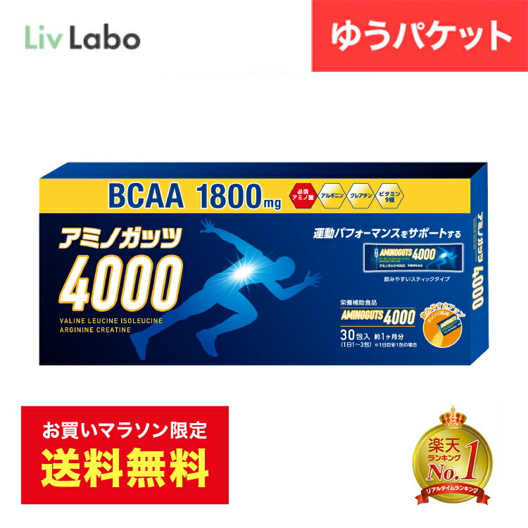 【送料無料】アミノガッツ4000 アミノ酸 BCAA 5gx30包 | アルギニン クレアチン オレンジ風味 顆粒スティックタイプ 栄養補助食品 9種類のビタミン 訳あり 飲みやすい 顆粒 トレーニング ランニング 栄養補給 持ち運び 筋トレ 新生活 一人暮らし 4580101208131