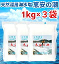 【1000円オフクーポン配布中】 恵安の潮 1kg × 3袋セット お徳用パック ミネラル 恵安の塩 天日塩 塩 けいあん けいあんの塩 けいあんの潮 天然塩 ...