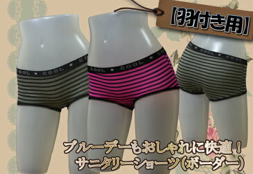 メール便送料無料サニタリーショーツ 羽付き用ウイングタイプ