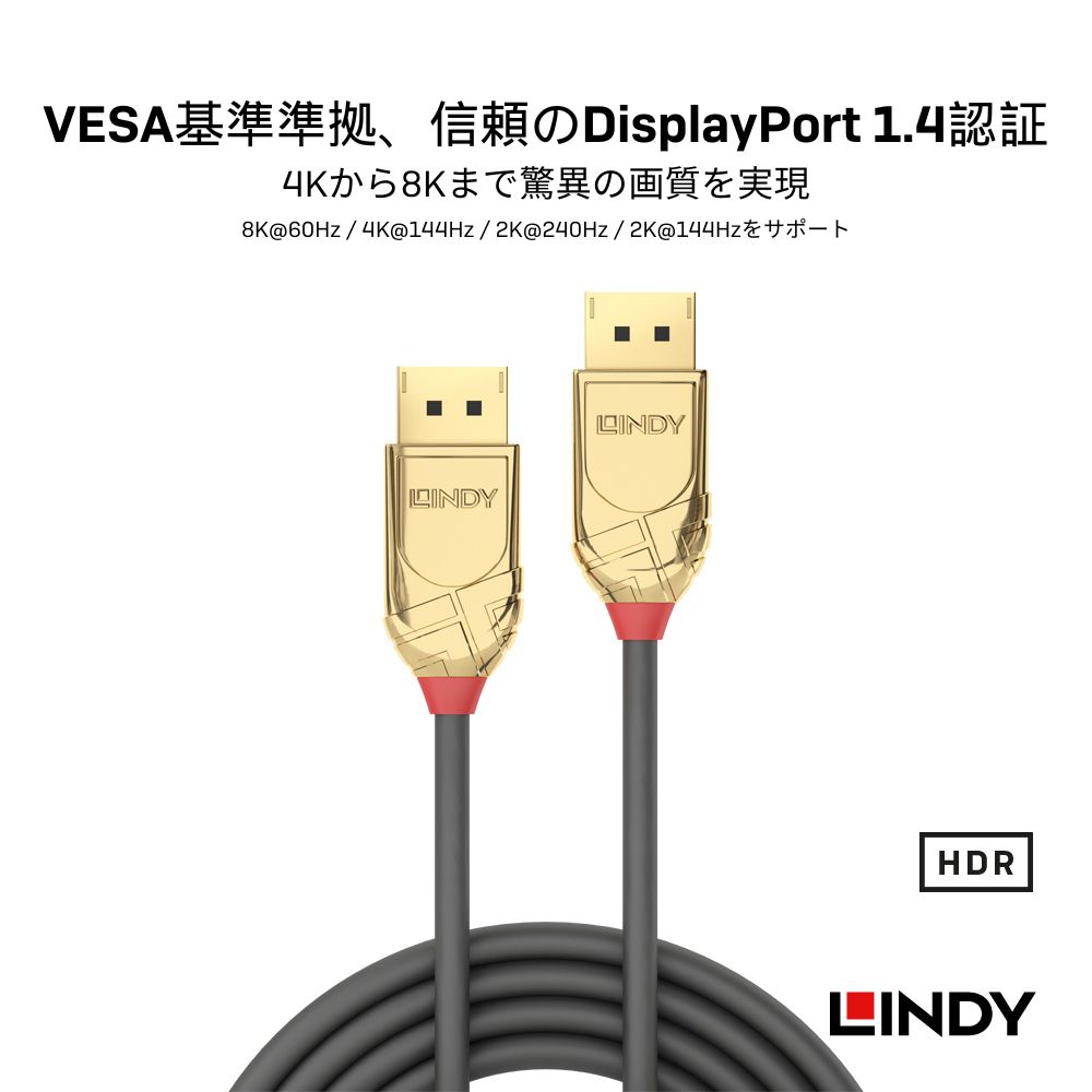 【送料無料】【10％OFFクーポン配布中】【レビューでさらにクーポンGET】LINDY GOL...