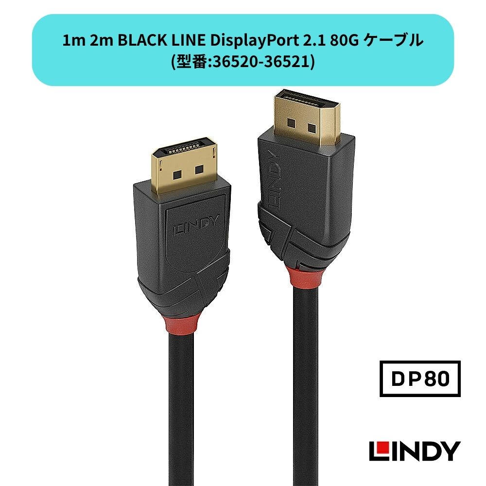 LINDY BLACK LINE 1m 2m 3m DisplayPort 2.1 1.2ケーブル ディスプレイポート 80G 80Gbps 超高速 ゲーミング PC モニター 接続 ディスプレイ 配線 DPケーブル 8K対応 4K対応 ゲーミングPC 外部モニター デュアルモニター 液晶ディスプレイ 接続 コード 安定 高耐久 業務用