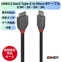 【8月末まで期間限定セール】LINDY ANTHRA LINE 0.5m 1m 2m 3m USB3.2 Gen1 Type-C to Micro-Bケーブル ...