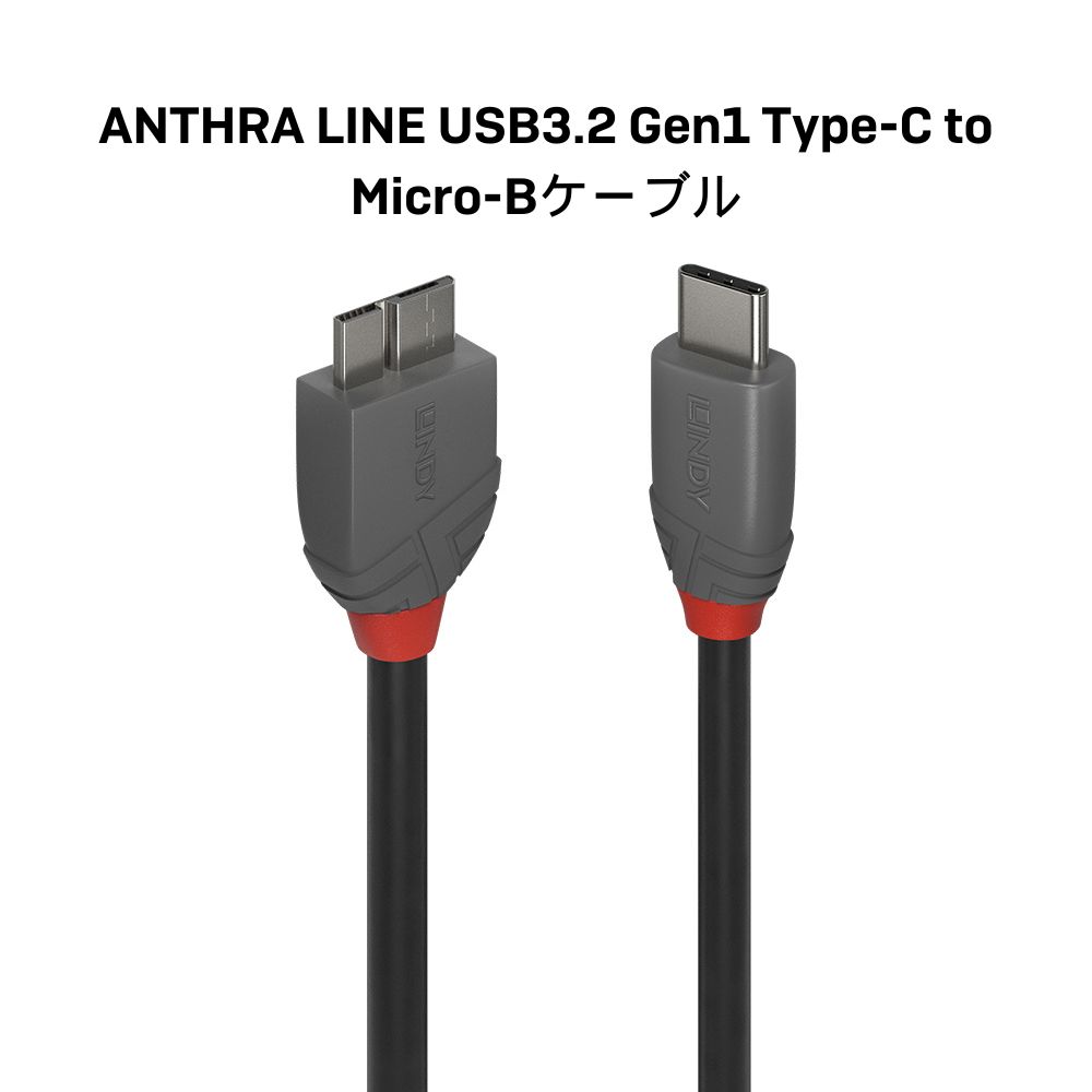 LINDY ANTHRA LINE 0.5m ...の紹介画像2