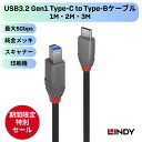 【8月末まで期間限定セール】LINDY ANTHRA LINE 1m 2m 3m USB3.2 Gen 1 Type-C to Type-Bケーブル 高速データ...