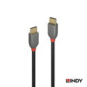 【10%OFFクーポン配布中】【レビューでさらにクーポンGET】LINDY ANTHRA LINE 0.5m 1m 2m 3m USB2.0 Type-Cケーブル USB2.0のデータ転送及び充電仕様に準拠 充電ケーブル データケーブル USB-C 高速ケーブル 充電 /転送(2)