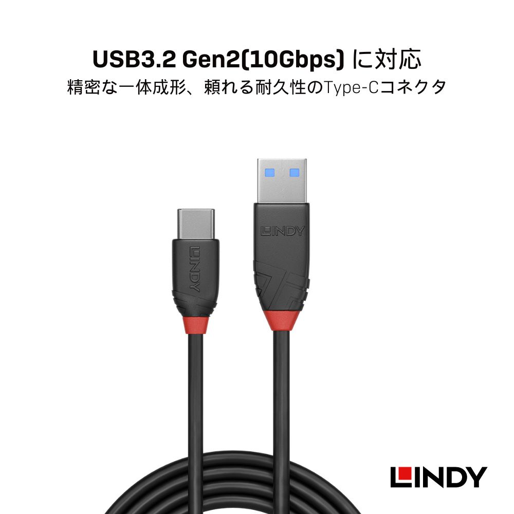 LINDY BLACK LINE 0.15m ...の紹介画像2
