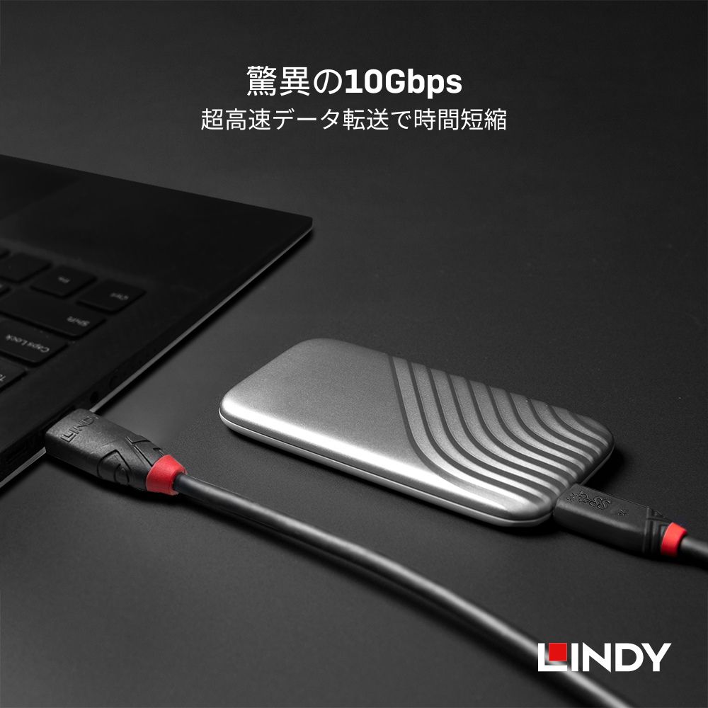 LINDY BLACK LINE 0.15m ...の紹介画像3