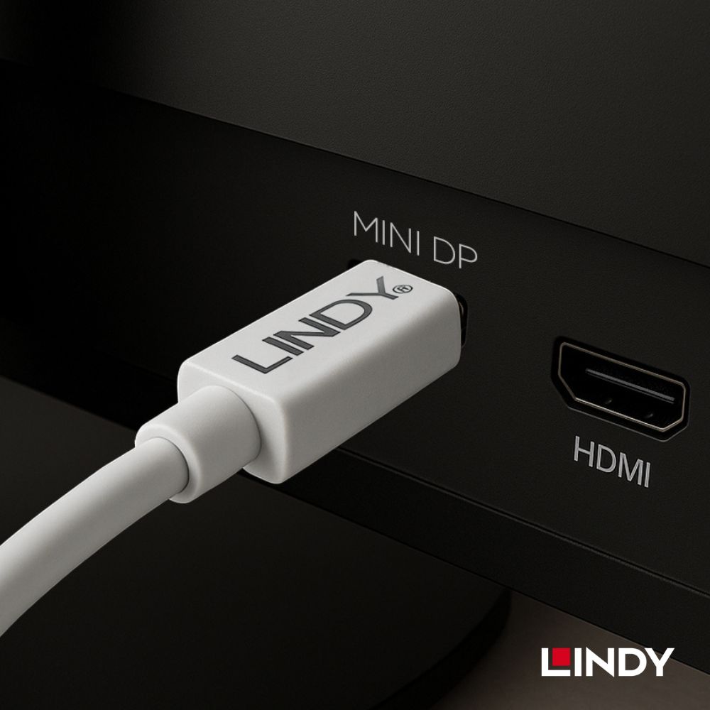 LINDY 20cm Mini DisplayPort to DisplayPort ����/�᥹ �Ѵ������֥� �������б� IC���å����� ����ѥ��� ������ ���ѵ� ������� �Υ����ɻ� Ƽ������� Thunderbolt �������� ����ž�� �ǥ����ȥå� PC �Ρ��ȥѥ����� �ץ쥼��ơ��������