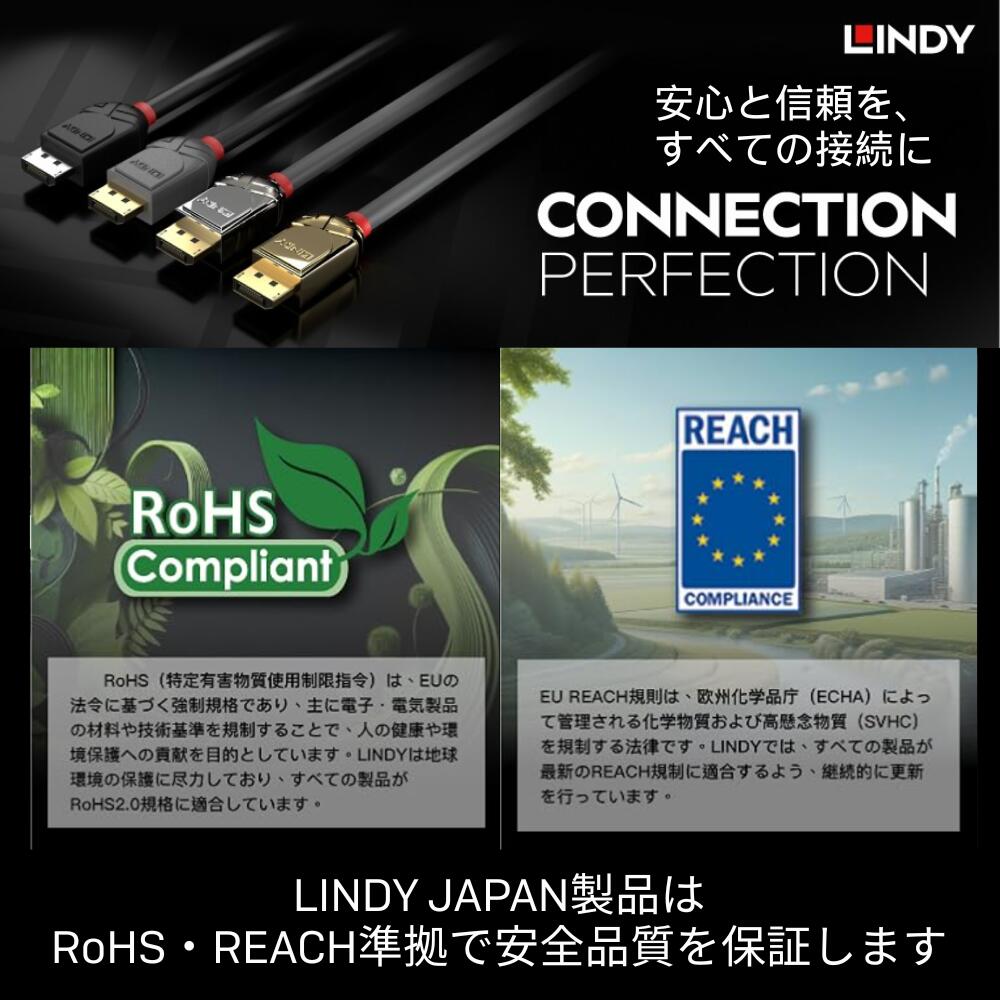 【在庫処分セール】LINDY 1m 3m Di...の紹介画像3