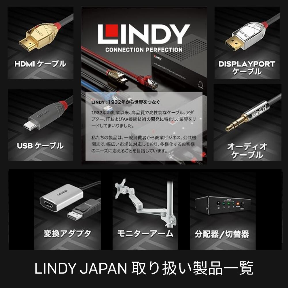 【在庫処分セール】LINDY 1m 3m Di...の紹介画像2