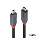 【送料無料】LINDY 1m ANTHRA LINE USB4 Gen3x2 Type-Cケーブル 100W PD急速充電対応 DisplayPort Alternate Modeに対応、最大解像度8K@30Hzに対応可能(2)