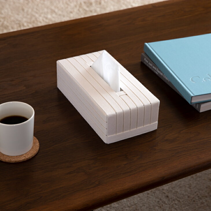 Bandc バンドシー ティッシュケース 日本製 おしゃれ 収納 ソフトパック 標準サイズ ボックスティッシュ 対応 全10色