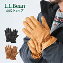 【公式】 エルエルビーン ディアスキン グローブ 手袋 アウトドア レザーグローブ メンズ アウトドア ブランド 鹿革 レザー 中綿 裏地付き L.L.Bean...