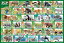 80Pジグソーパズル アニア動物のひみつ【80-038】【38×26cm】【ビバリー】