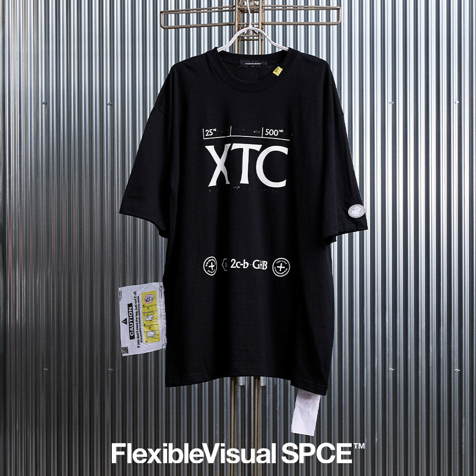 XTC-2c-b-GHB FVS6 ブランド FlexibleVisual SPCE フレキシブル ヴィジュアル スペース tシャツ レディース メンズ 半袖 ゆったり おしゃれ 綿100% 丈長め 可愛い プリント カジュアル トップス オーバーサイズ ブラック 黒 2025 春 春夏 夏
