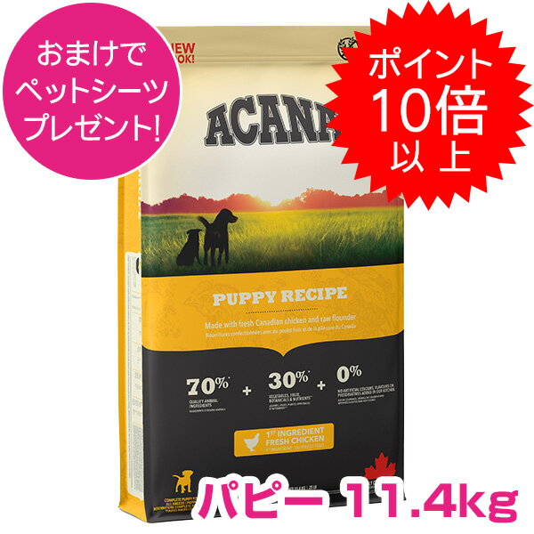 15P13ܰʾ100PХåۥݥץȥ꡼  ѥԡ 11.4kg ɥåա ʡ