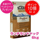 訳アリ賞味期限25/8/29【本日P10倍以上】クーポン付要エントリー アカナ ランチランド 6kg (ACANA) ドッグフード 【正規品】
