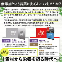 オリジンキャット&キトン1.8kg【正規品】