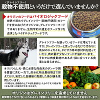 オリジンキャット&キトン1.8kg【正規品】