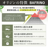 オリジンキャット&キトゥン1.8kg【正規品】