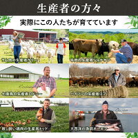 オリジンキャット&キトン1.8kg【正規品】