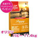 訳アリ賞味期限25/7/17【5日最大100%PバックP4倍以上】クーポン付要エントリー オリジン パピー 11.4kg ドッグフード 【送料無料】 ORIJE...