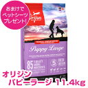 訳アリ賞味期限25/5/2【5日最大100%PバックP4倍以上】クーポン付要エントリー オリジン パピー ラージ 11.4kg 【送料無料】 ORIJEN ドッ...