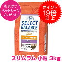 y30P22{ȏてvGg[z ZNgoX X   3kg SELECT BALANCE hbOt[h 1ˈȏ̐p p yKiz