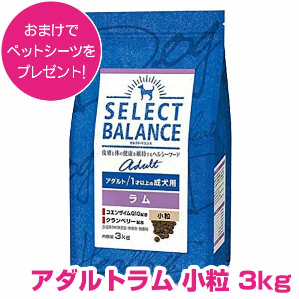 【1日最大100％ポイントバックorクーポン付P12倍以上※要エントリー】 セレクトバランス アダルト ラム 小粒 3kg SELECT BALANCE ドッグフード 1才以上の成犬用 犬用 【正規品】のサムネイル