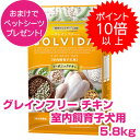  ソルビダ チキン 室内飼育 子犬用 5.8kg SOLVIDA グレインフリー ドッグフード 犬用 