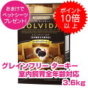 【本日P10倍以上クーポン付※要エントリー】 ソルビダ ターキー 室内飼育 全年齢対応 3.6kg SOLVIDA グレインフリー ドッグフード 犬用 【正規品】