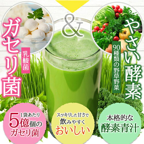 送料無料 青汁 乳酸菌 ガセリ菌◆ガセリ菌青汁◆[メール便対応商品]《乳酸菌青汁 酵素 国産 ガセリ ガゼリ菌 ダイエット ケール 食物繊維 大麦若葉 明日葉 アシタバ 腸活 菌活》