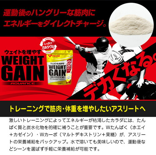 ケンタイ ウェイトゲインアドバンス バナナラテ風味 360g