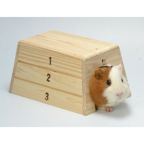とびばこハウスサンコー 三晃 SANKO 小動物 ハウス 木製 木製ハウス 2