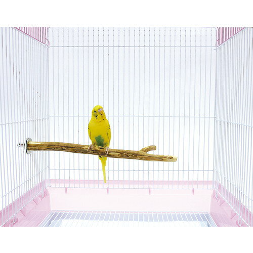 森の小枝 1本マルカン MG MARUKAN 小鳥 鳥 とまり木 木製 2