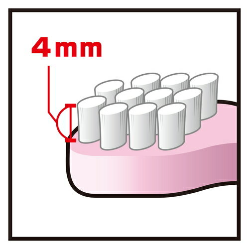 ��28H�����Ź��ݥ����10�ܡ�4��20����5��23:59���ǥ�ȥ졼�ʡ� ���餫�֥饷 �ԥ� 1������ ���֥饷 �ϥ֥饷 Ķ������ ������ ���餫�� ����ѥ���