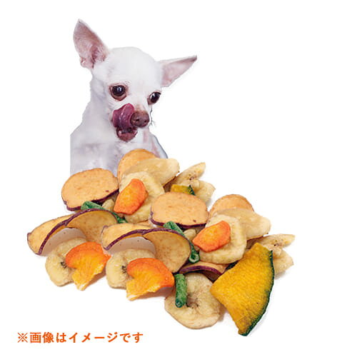 ライフの達人の京 野菜&果物 50gBon・rupa ボンルパ 犬 おやつ 野菜 果物 乾燥 真空乾燥 ドライ｜アングル2