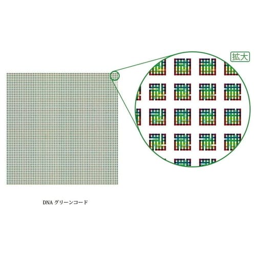クスリエ DNA グリーンコード（小）5枚入クスリ絵 ユニカ
