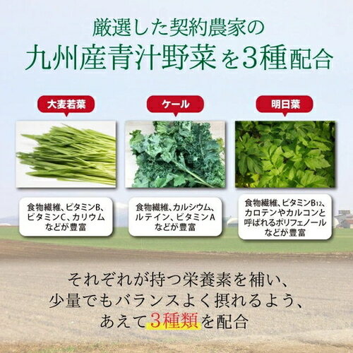 【12個セット】 九州産 有機大麦若葉と有機ケールの有機青汁 3g×30袋入 スティック 国産 新日配薬品 大麦若葉 美容 有機 健康 ケール 粉末 青汁 パウダー 野菜不足 食物繊維 野菜粉末 オーガニック 健康サプリ