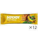 ソイジョイ プラントベース バナナ 25g×12本SOYJOY 大塚製薬