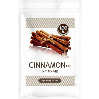シナモンの粒 120粒シナモンパウダー シナモンの錠剤 シナモン サプリ サプリメント 粒 cinnamon ニッキ 健康 美容 スパイスCinnamon tablets 120