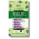 見るUP ブルーベリー＆ルティン 40粒入サプリメント 健康食品 1