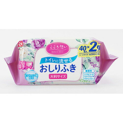 レック こころ想い トイレに流せる おしりふき大判 40枚入×2個パックLEC ウェットシート ウエット 拭き レック こころ想い トイレに流せる おしりふき大判 40枚入×2個パックLEC ウェットシート ウエット 拭き