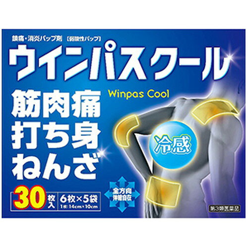 【第3類医薬品】ウインパスクール 30枚 第3類医薬品テイコクファルマケア[海外出荷NG]