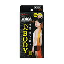 R{fBCNpbh fC[ Daily[lR|XΉi]R{fBCNpbh wpbh w w R () Daisen Style Body Making Pad Daily