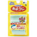 小林製薬 小林製薬 糸ようじ 30本入