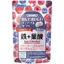 かんでおいしいチュアブルサプリ 鉄+葉酸 120粒